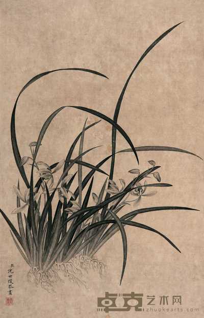 沈世俊 兰花 立轴 43.5×28cm